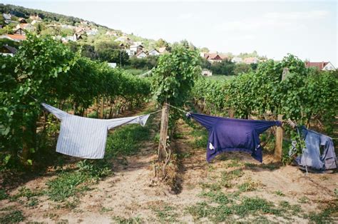 vetvlek uit kleding halen